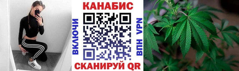 где найти   Олёкминск  Конопля Bruce Banner 